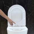 DESKA-SEDESOWA-WC-POLIPROPYLEN-SLIM-WOLNOOPADAJACA-WYPINANA-BIALA-SOPRA-Marka-Granitan.jpg