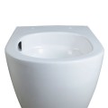 MISKA-WC-WISZACA-TORNADO-MIZU-WH-TR-02-BIALA-DESKA-WOLNOOPADAJACA-DUROPLAST_[104693]_1200.jpg