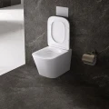 MISKA-WC-WISZACA-RIMLESS-AQUA-WH-03-BIALA-DESKA-WOLNOOPADAJACA-DUROPLAST_[77858]_1200.jpg