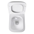 MISKA-WC-WISZACA-RIMLESS-AQUA-WH-03-BIALA-DESKA-WOLNOOPADAJACA-DUROPLAST_[89725]_1200.jpg