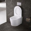 MISKA-WC-WISZACA-TORNADO-ELITE-WH-02-BIALA-DESKA-WOLNOOPADAJACA-DUROPLAST_[88288]_1200.jpg
