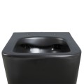 MISKA-WC-WISZACA-RIMLESS-RAIN-MTB-RIM-03-CZARNA-MAT-DESKA-WOLNOOPADAJACA-DUROPLAST_[92411]_1200.jpg