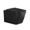 ZESTAW-PODTYNKOWY-WC-STELAZ-GEBERIT-DUOFI-MISKA-RAIN-MTB-RIM-03-PRZYCISK-DELTA-50-CZARNY-MAT_[103156]_1200.jpg