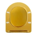 DESKA-SEDESOWA-WC-WOLNOOPADAJACA-CV-GL-04-ZLOTA-DUROPLAST_[110677]_1200.jpg