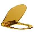 DESKA-SEDESOWA-WC-WOLNOOPADAJACA-CV-GL-04-ZLOTA-DUROPLAST_[110678]_1200.jpg