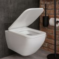 Deska-sedesowa-wolnoopadajaca-Easy-Clean-polipropylenowa-LAVO-kolor-bialy-Kod-producenta-GS-LAVO-WHT.jpg