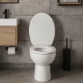 Deska-sedesowa-wolnoopadajaca-system-easy-clean-polipropylen-SONAT-biala-Stan-opakowania-oryginalne.jpg