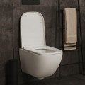 Deska-sedesowa-wolnoopadajaca-od-25-easy-clean-polipropylen-LOMINA-biala-Kod-producenta-GS-LOMINA-WHT.jpg